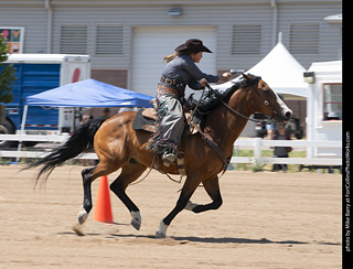Regulators at the Larimer County Fair 2024