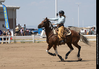 Regulators at the Larimer County Fair 2024