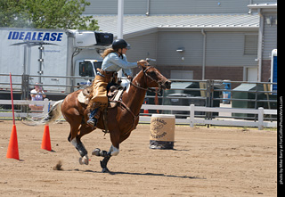 Regulators at the Larimer County Fair 2024