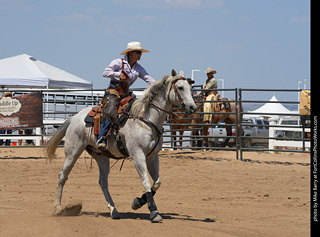 Regulators at the Larimer County Fair 2024