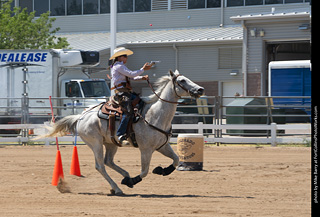 Regulators at the Larimer County Fair 2024