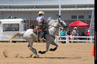 Regulators at the Larimer County Fair 2024