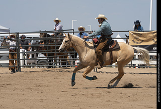 Regulators at the Larimer County Fair 2024