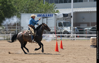 Regulators at the Larimer County Fair 2024
