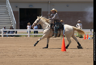 Regulators at the Larimer County Fair 2024