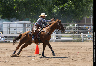 Regulators at the Larimer County Fair 2024