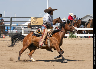 Regulators at the Larimer County Fair 2024