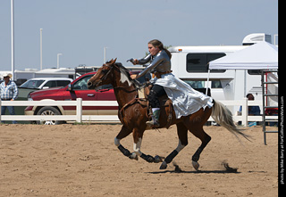Regulators at the Larimer County Fair 2024