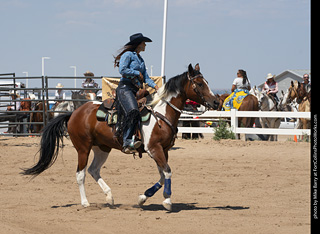 Regulators at the Larimer County Fair 2024