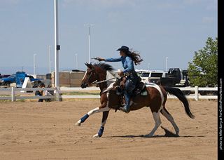 Regulators at the Larimer County Fair 2024