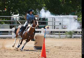 Regulators at the Larimer County Fair 2024
