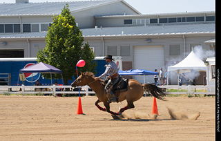 Regulators at the Larimer County Fair 2024