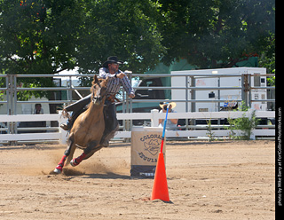 Regulators at the Larimer County Fair 2024