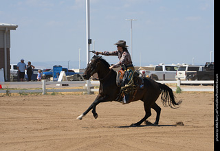 Regulators at the Larimer County Fair 2024