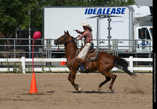 Regulators at the Larimer County Fair 2024