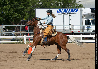 Regulators at the Larimer County Fair 2024