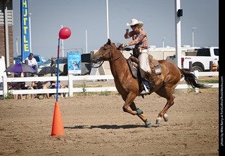 Regulators at the Larimer County Fair 2024