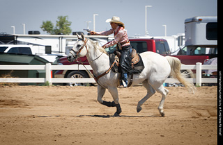Regulators at the Larimer County Fair 2024