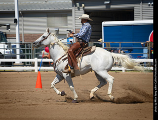 Regulators at the Larimer County Fair 2024
