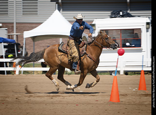 Regulators at the Larimer County Fair 2024