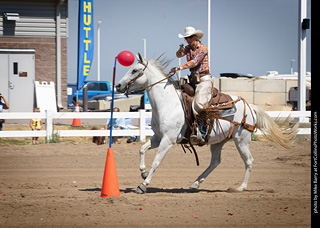 Regulators at the Larimer County Fair 2024