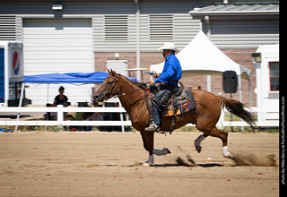 Regulators at the Larimer County Fair 2024