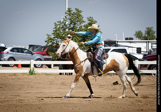Regulators at the Larimer County Fair 2024