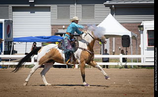 Regulators at the Larimer County Fair 2024