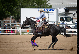 Regulators at the Larimer County Fair 2024