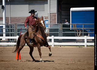 Regulators at the Larimer County Fair 2024
