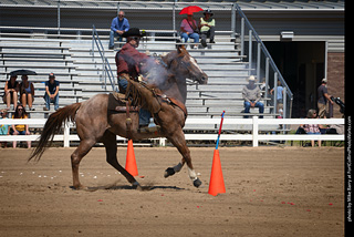 Regulators at the Larimer County Fair 2024