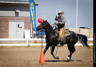 Regulators at the Larimer County Fair 2024