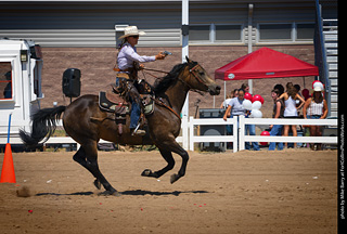 Regulators at the Larimer County Fair 2024