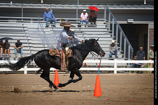 Regulators at the Larimer County Fair 2024