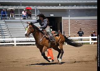Regulators at the Larimer County Fair 2024