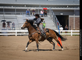 Regulators at the Larimer County Fair 2024