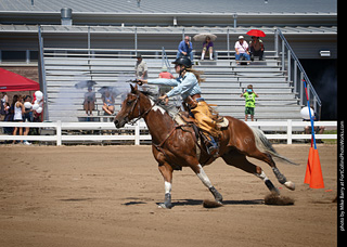 Regulators at the Larimer County Fair 2024