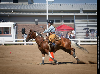 Regulators at the Larimer County Fair 2024