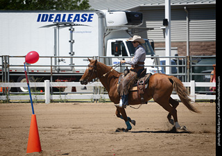 Regulators at the Larimer County Fair 2024