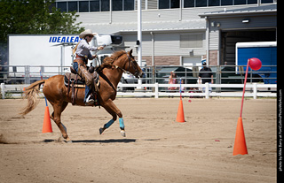 Regulators at the Larimer County Fair 2024