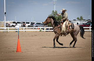 Regulators at the Larimer County Fair 2024