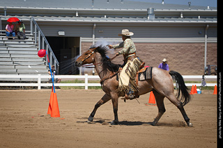 Regulators at the Larimer County Fair 2024