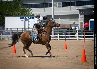 Regulators at the Larimer County Fair 2024