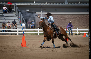 Regulators at the Larimer County Fair 2024