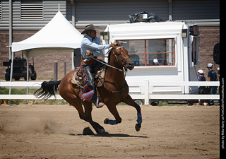 Regulators at the Larimer County Fair 2024