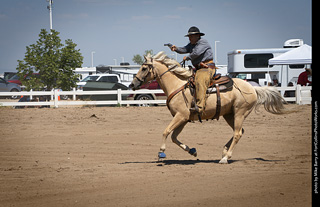 Regulators at the Larimer County Fair 2024