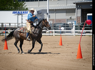 Regulators at the Larimer County Fair 2024