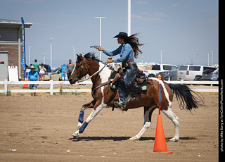 Regulators at the Larimer County Fair 2024