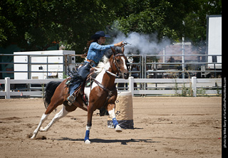 Regulators at the Larimer County Fair 2024