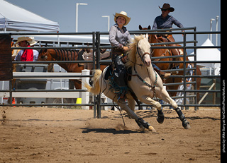 Regulators at the Larimer County Fair 2024